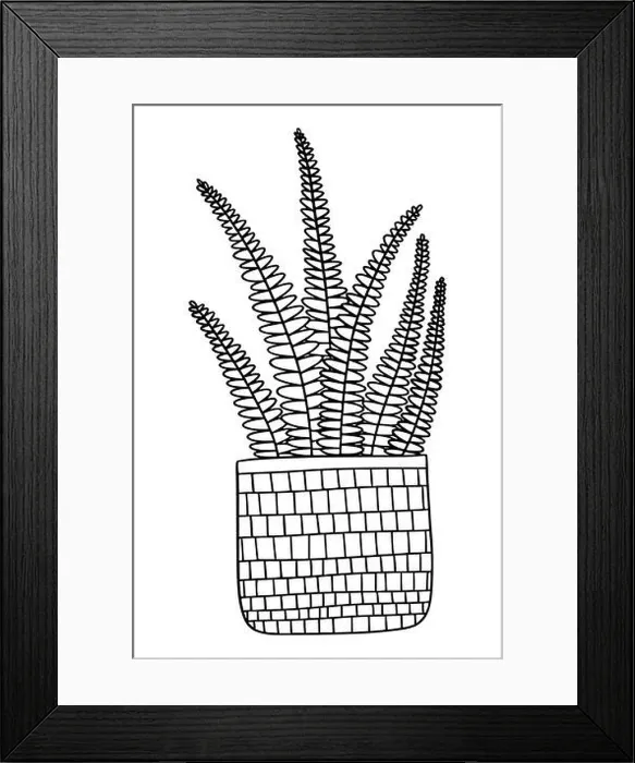 Framed Print : Cute hand drawn fern plant in pot. Vector outline drawing of House plant. coloring page urban garden concept. Tropical plant used in the interior Framed Print : Cute hand drawn fern plant in pot. Vector outline drawing of House plant. coloring page urban garden concept. Tropical plant used in the interior