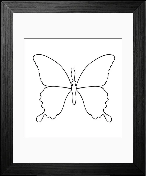 Framed Print : butterfly line drawing isolated on a white background vector illustration EPS10 Framed Print : butterfly line drawing isolated on a white background vector illustration EPS10
