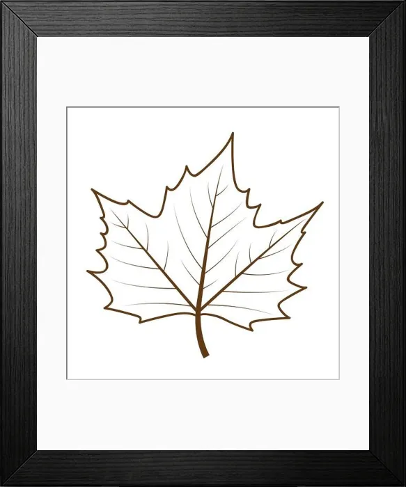 Framed Print : isolated autumn leaf outline drawing vector illustration EPS10 Framed Print : isolated autumn leaf outline drawing vector illustration EPS10