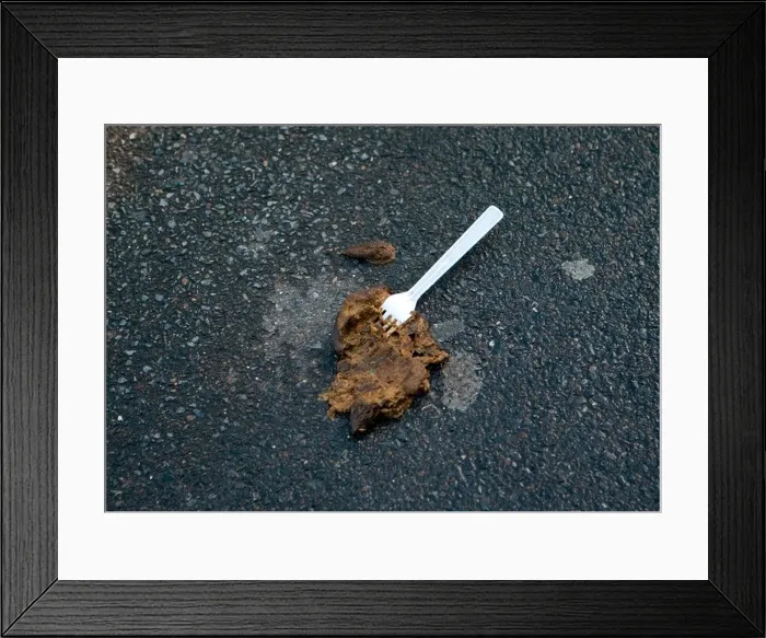 Framed Print : [Sick humour[ Dog poo and [plastic fork]. Fortunately, the white fork made this severe hazard more visible for pedestrians!