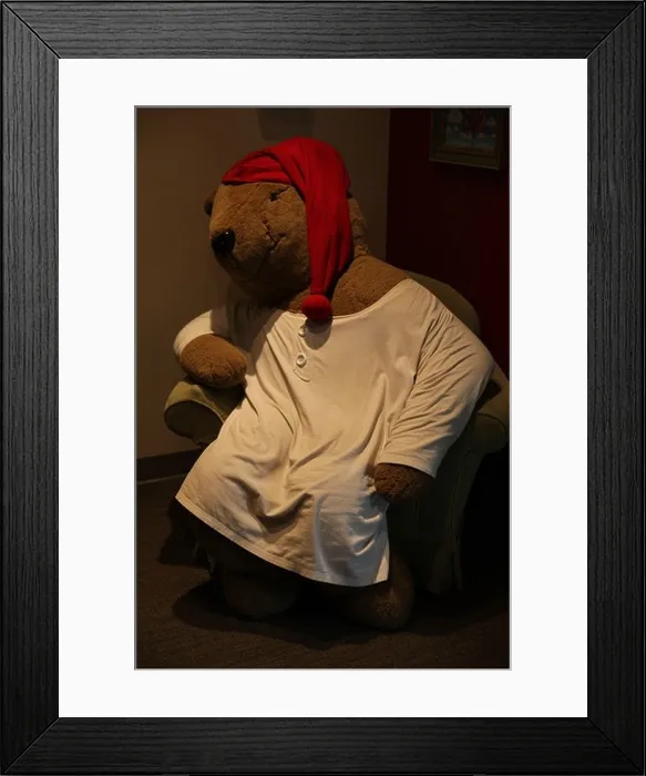 Framed Print : Sleepytime bear at the Celestial Seasonings factory Framed Print : Sleepytime bear at the Celestial Seasonings factory