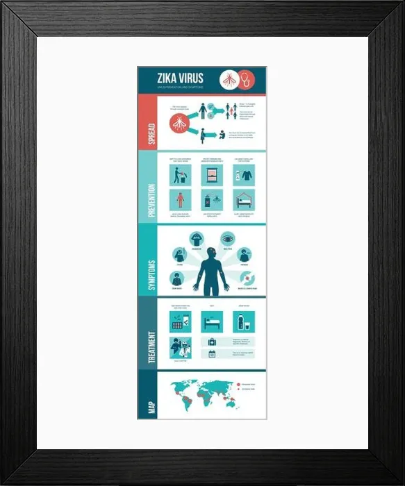 Framed Print : Zika virus infographic: prevention, symptoms and treatment Framed Print : Zika virus infographic: prevention, symptoms and treatment