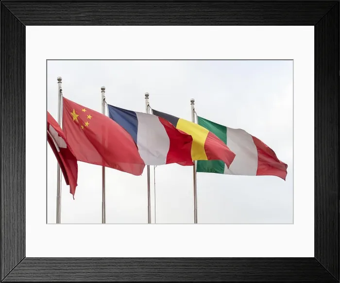 Framed Print : Flags of Italy, Germany, France, China and Switzerland flying from poles