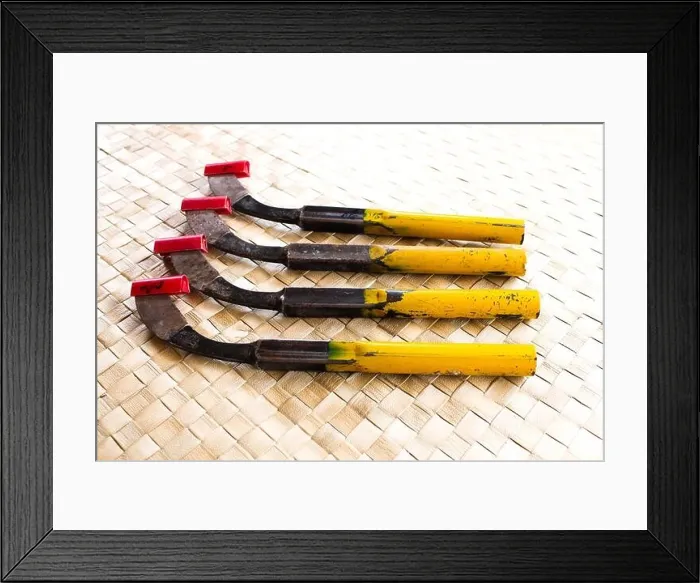 Framed Print : rubber tapping knife, great steel tool very sharp on background Framed Print : rubber tapping knife, great steel tool very sharp on background