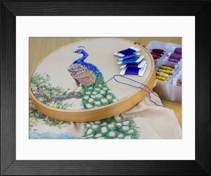 Framed Print : Peacock embroidery held in embroidery frame hoop with embroidery silks in box and needle, traditional hand embroidery needlework and craft at home Framed Print : Peacock embroidery held in embroidery frame hoop with embroidery silks in box and needle, traditional hand embroidery needlework and craft at home
