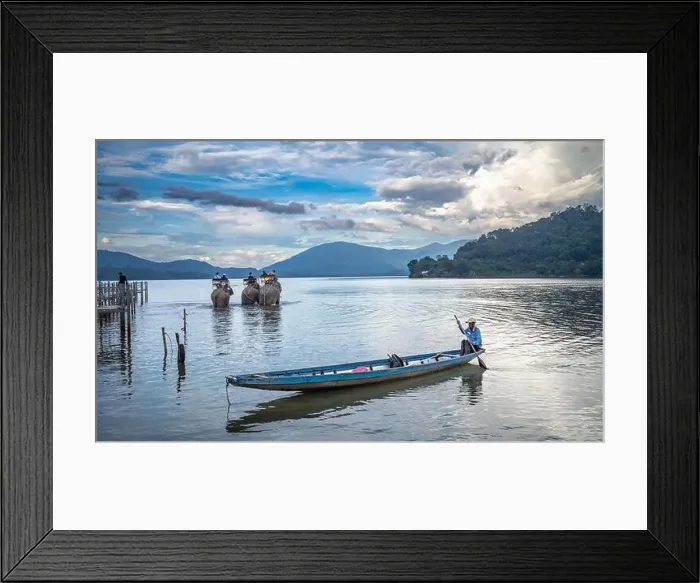 Framed Print : A M'nong ethnic minority man guides his canoe to shore at dusk while Vietnamese tourists ride on three elephants in Lak Lake, Lien Son, Vietnam Framed Print : A M'nong ethnic minority man guides his canoe to shore at dusk while Vietnamese tourists ride on three elephants in Lak Lake, Lien Son, Vietnam