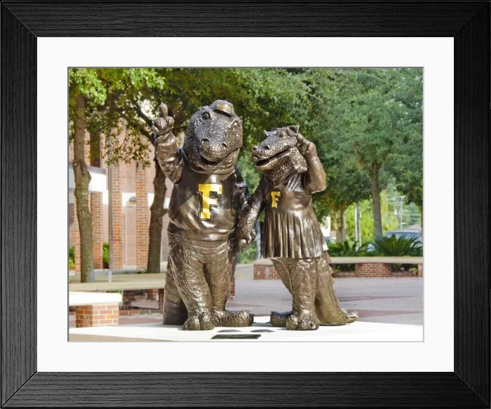 Framed Print : Statues of University of Florida mascots Albert E. Gator and Alberta Gator stand across the campus in Gainesville, Florida, USA Framed Print : Statues of University of Florida mascots Albert E. Gator and Alberta Gator stand across the campus in Gainesville, Florida, USA