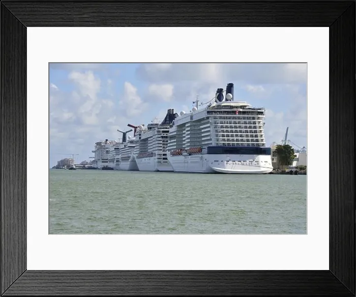 Framed Print : Cruise Ships in the Port of Miami, Florida, USA, North America Framed Print : Cruise Ships in the Port of Miami, Florida, USA, North America