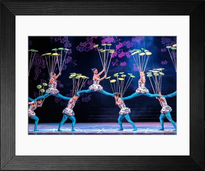 Framed Print : Acrobats perform splits whilst spinning plates Framed Print : Acrobats perform splits whilst spinning plates
