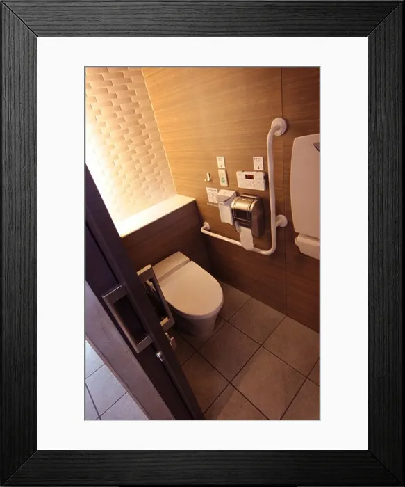 Framed Print : Inside a Futuristic Public Toilet Tokyo Japan Framed Print : Inside a Futuristic Public Toilet Tokyo Japan