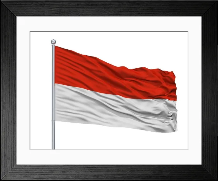 Framed Print : Tarija City Flag On Flagpole, Bolivia, Isolated On White Background Framed Print : Tarija City Flag On Flagpole, Bolivia, Isolated On White Background