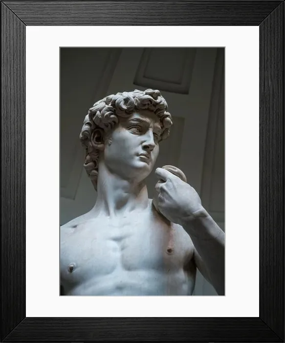 Framed Print : Florence, Italy statue of David Framed Print : Florence, Italy statue of David