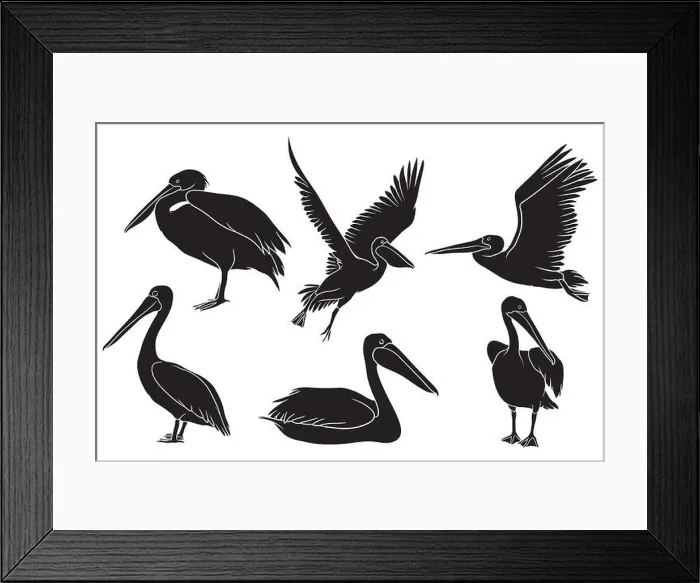 Framed Print : hand drawn silhouette of pelican Framed Print : hand drawn silhouette of pelican