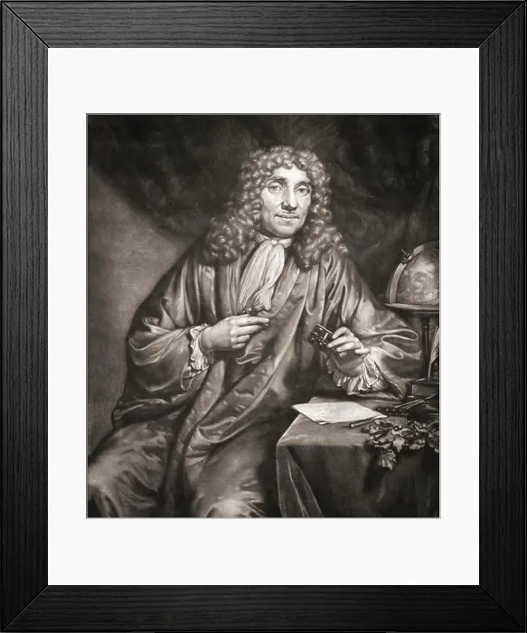 Framed Print : Antonie van Leeuwenhoek, 1632-1723. Dutch scientist Framed Print : Antonie van Leeuwenhoek, 1632-1723. Dutch scientist