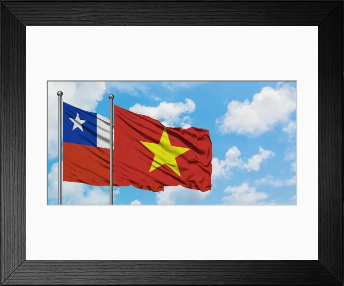 Framed Print : Chile and Vietnam flag waving in the wind against white cloudy blue sky together. Diplomacy concept, international relations Framed Print : Chile and Vietnam flag waving in the wind against white cloudy blue sky together. Diplomacy concept, international relations
