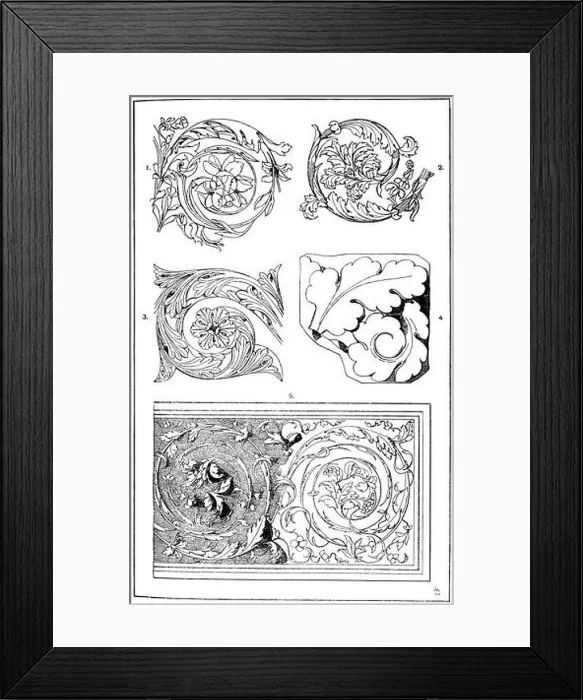 Framed Print : Acanthus tendril: 1st Roman acanthus tendril from a marblediga. According to the type of ornamentation to be deduced Framed Print : Acanthus tendril: 1st Roman acanthus tendril from a marblediga. According to the type of ornamentation to be deduced