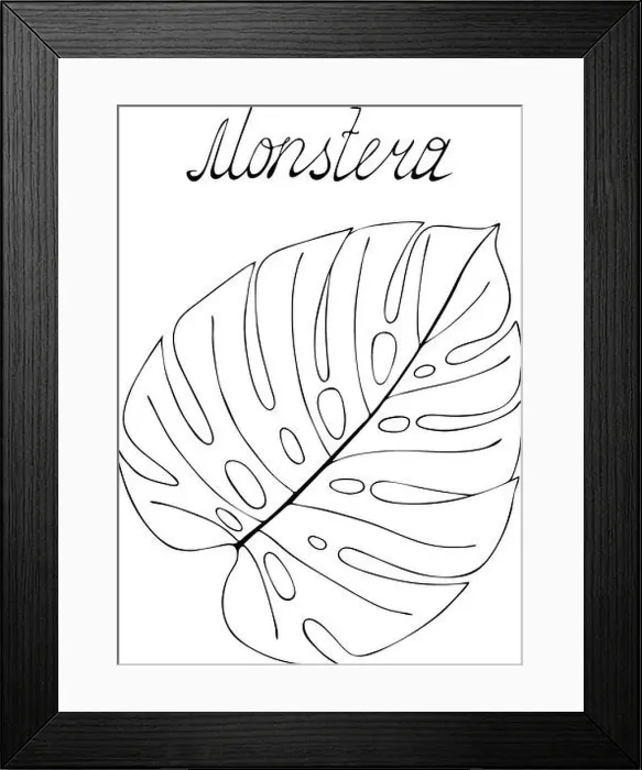 Framed Print : Monstera leaf in black outline, hand-drawn, doodling style. Lettering. Vector illustration Framed Print : Monstera leaf in black outline, hand-drawn, doodling style. Lettering. Vector illustration