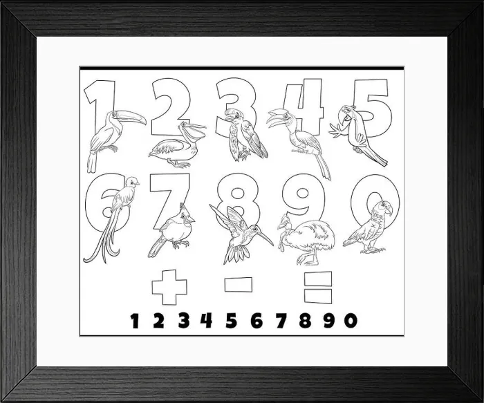 Framed Print : Black and white cartoon illustration of educational numbers set from one to nine with funny birds animal characters coloring page Framed Print : Black and white cartoon illustration of educational numbers set from one to nine with funny birds animal characters coloring page