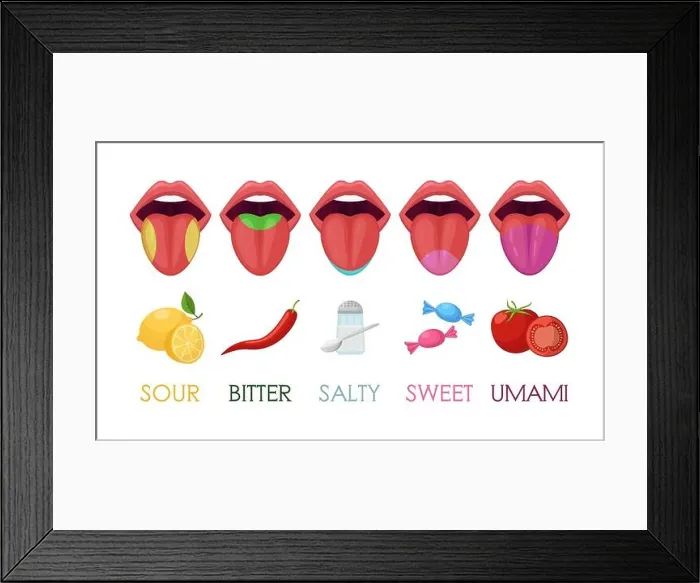 Framed Print : Five basic taste areas on human tongue vector illustrations set. Drawings of zones of sour, bitter, salty, sweet, umami tastes in mouth isolated on wh Framed Print : Five basic taste areas on human tongue vector illustrations set. Drawings of zones of sour, bitter, salty, sweet, umami tastes in mouth isolated on wh