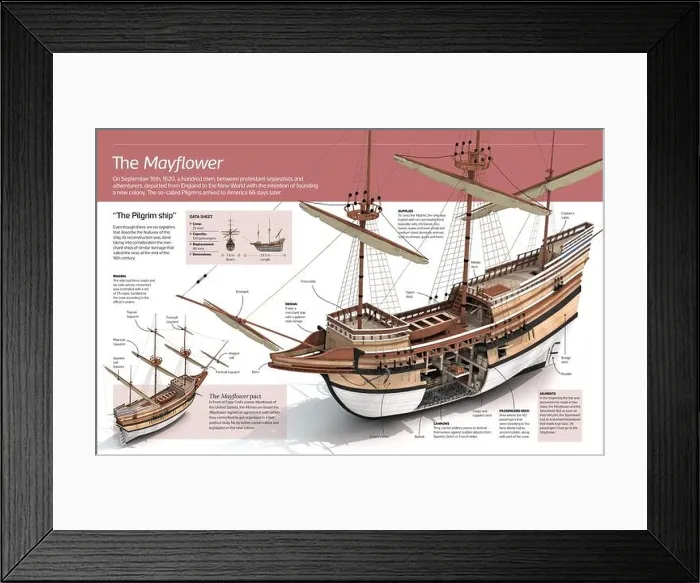 Framed Print : Infographic of the Mayflower, the Pilgrim ship that in 1620 made the historic voyage from England to the New World Framed Print : Infographic of the Mayflower, the Pilgrim ship that in 1620 made the historic voyage from England to the New World