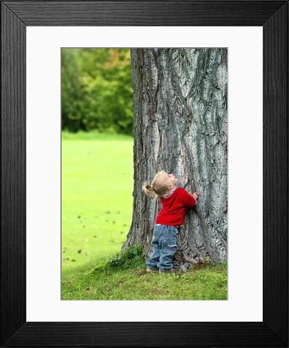 Framed Print : Little girl stands at the base of a very large tree and looks up in amazement. Little girl stands at the base of a very large tree and looks up Framed Print : Little girl stands at the base of a very large tree and looks up in amazement. Little girl stands at the base of a very large tree and looks up