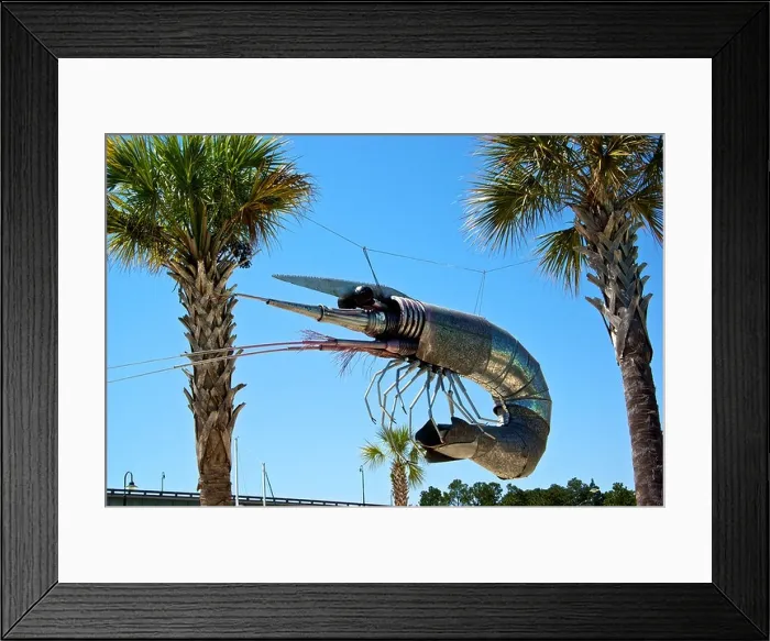 Framed Print : Suspended galvanized steel metal shrimp sculpture Homeport Marina Gulf Shores Ala Framed Print : Suspended galvanized steel metal shrimp sculpture Homeport Marina Gulf Shores Ala