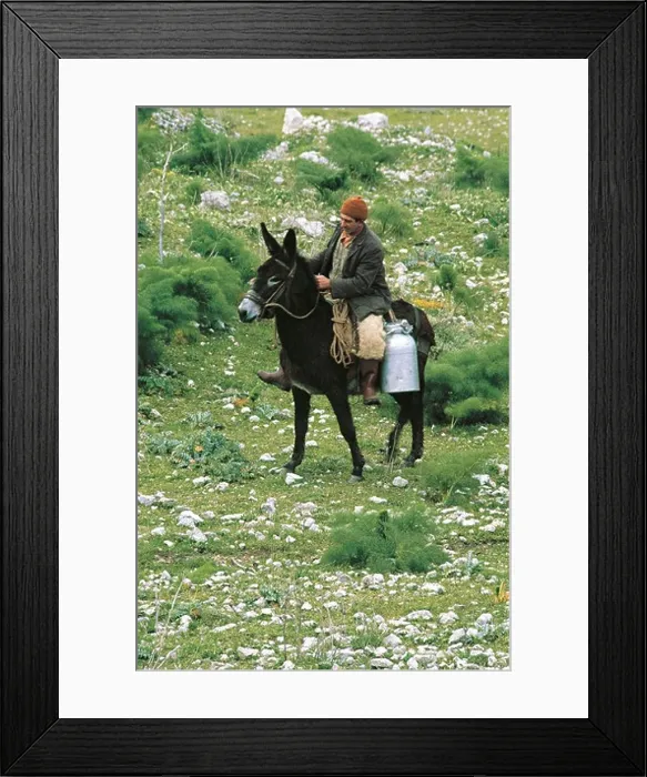 Framed Print : Sicilian Shepherd On A Donkey In The Country Palace Adriano Framed Print : Sicilian Shepherd On A Donkey In The Country Palace Adriano