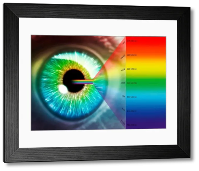 Framed Print : Artwork of human eye and optical spectrum Framed Print : Artwork of human eye and optical spectrum