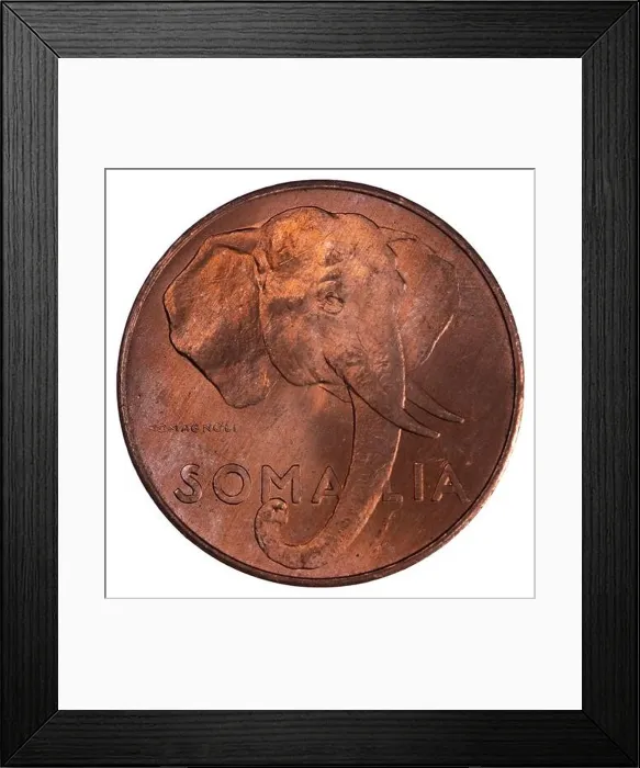 Framed Print : Bronze 1950 Vintage Elephant Head Centesimi Coin From Somalia during italian Era Framed Print : Bronze 1950 Vintage Elephant Head Centesimi Coin From Somalia during italian Era