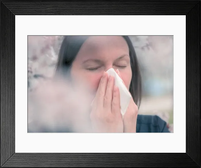 Framed Print : Woman sneezing in front of blooming cherry tree in spring allergy concept, selective focus Framed Print : Woman sneezing in front of blooming cherry tree in spring allergy concept, selective focus
