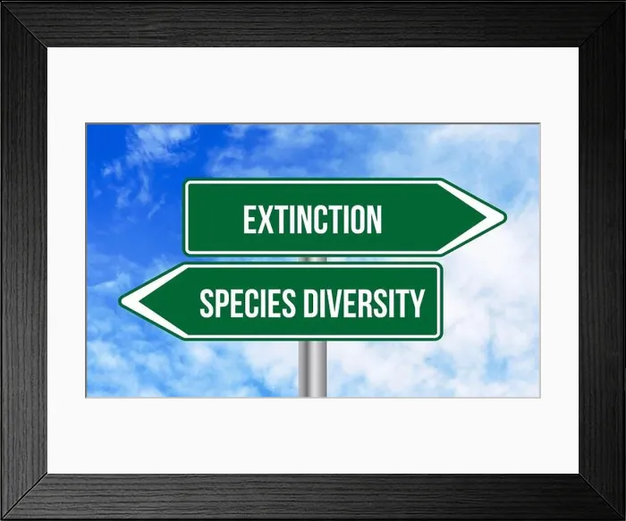 Framed Print : Extinction or species diversity road sign on blue sky background Framed Print : Extinction or species diversity road sign on blue sky background