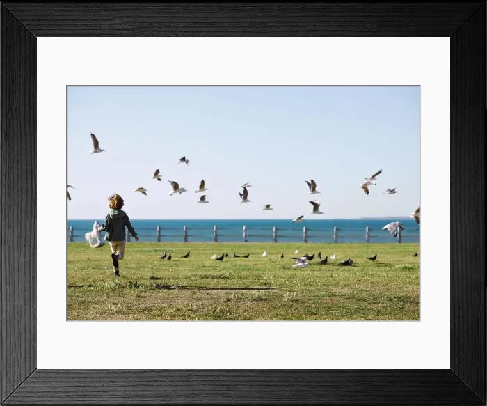Framed Print : Playful, back and boy running after birds in a park for freedom, summer and happy in Australia. Holiday, youth and excited child playing on a field by Framed Print : Playful, back and boy running after birds in a park for freedom, summer and happy in Australia. Holiday, youth and excited child playing on a field by