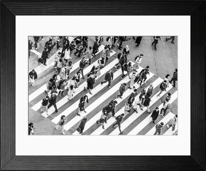 Framed Print : Shibuya crossing, crowds at intersection, many people cross zebra crossing, black and white, Shibuya, Udagawacho, Tokyo, Japan Framed Print : Shibuya crossing, crowds at intersection, many people cross zebra crossing, black and white, Shibuya, Udagawacho, Tokyo, Japan