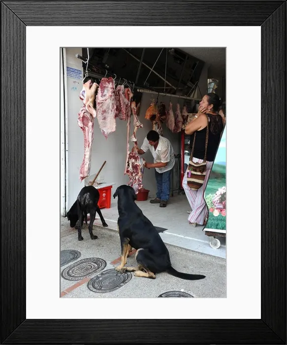 Framed Print : Two dogs waiting outside a butcher's shop in Silvania village, Colombia, South America Framed Print : Two dogs waiting outside a butcher's shop in Silvania village, Colombia, South America