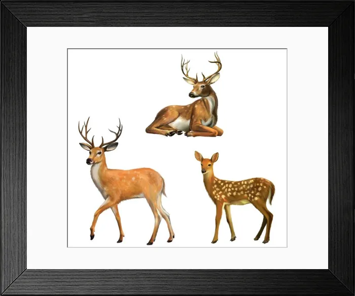 Framed Print : Beautiful deer with big horns. Baby deer. Isolated Illustration on white background Framed Print : Beautiful deer with big horns. Baby deer. Isolated Illustration on white background