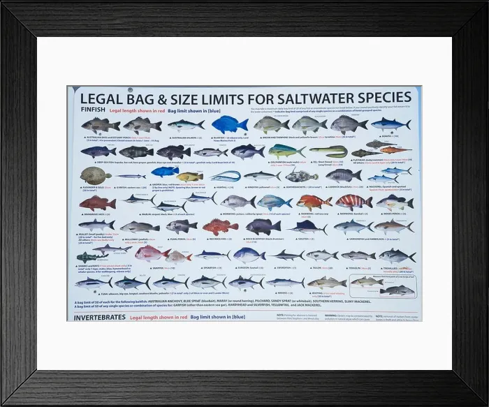 Framed Print : Fishing Guide Clyde River Batemans Bay Southern New South Wales Australia Framed Print : Fishing Guide Clyde River Batemans Bay Southern New South Wales Australia