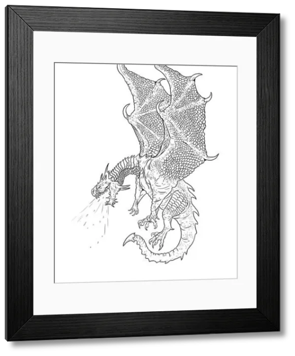 Framed Print : Dragon coloring page. Outline illustration. Dragon drawing coloring sheet Framed Print : Dragon coloring page. Outline illustration. Dragon drawing coloring sheet