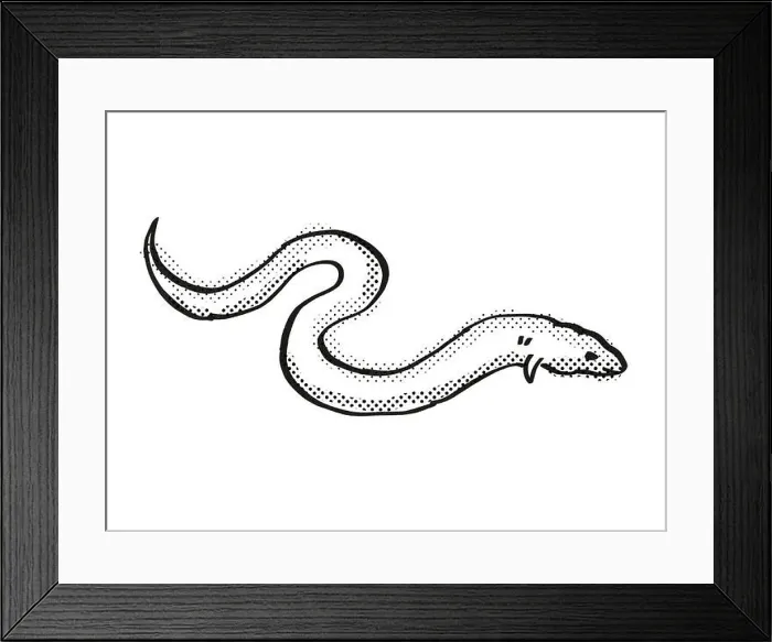 Framed Print : Retro cartoon line drawing style drawing of a European Eel, an endangered wildlife species on isolated background done in black and white full body Framed Print : Retro cartoon line drawing style drawing of a European Eel, an endangered wildlife species on isolated background done in black and white full body