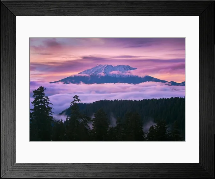 Framed Print : View of Mount St Helens sunset from McClellan Viewpoint in Gifford Pinchot National Forest Washington Framed Print : View of Mount St Helens sunset from McClellan Viewpoint in Gifford Pinchot National Forest Washington