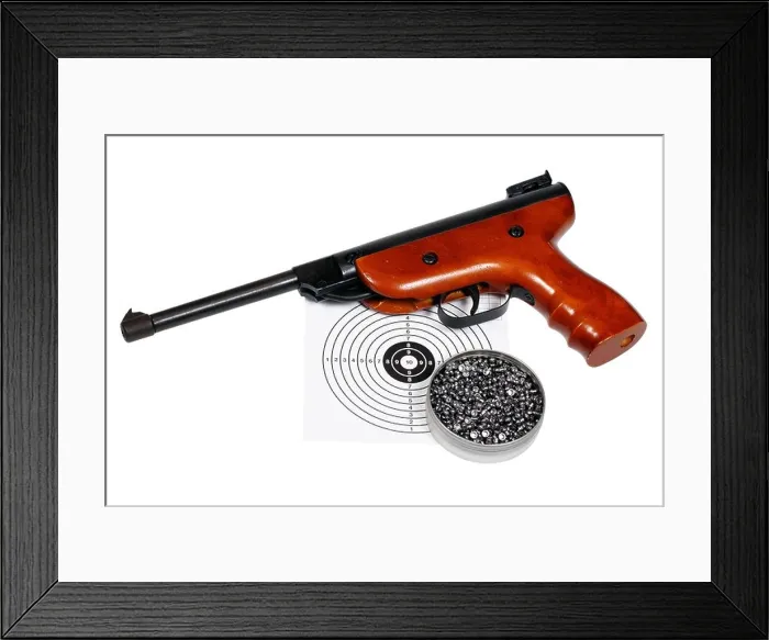 Framed Print : Air gun with gun-shield and pellets in box Framed Print : Air gun with gun-shield and pellets in box
