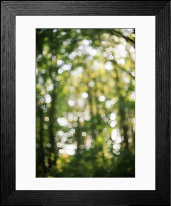 Framed Print : Bokeh forest backdrop. Abstract forest backdrop. Blurry and bokeh. Defocused natural background. Background with blurred nature Framed Print : Bokeh forest backdrop. Abstract forest backdrop. Blurry and bokeh. Defocused natural background. Background with blurred nature