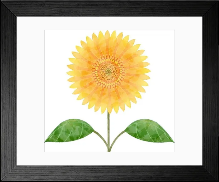Framed Print : Illustration of a large sunflower Framed Print : Illustration of a large sunflower