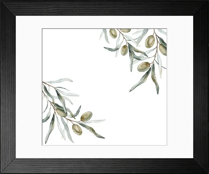 Framed Print : Watercolor banner with green and black olive leaves branches. Olive in bouquet. Decorative element for greeting card. Illustration frame. Pure vegan Framed Print : Watercolor banner with green and black olive leaves branches. Olive in bouquet. Decorative element for greeting card. Illustration frame. Pure vegan