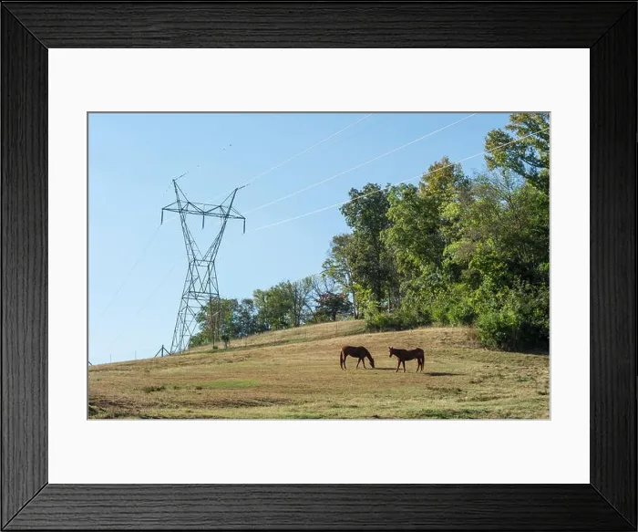 Framed Print : Electric power lines over horse pasture, Tennessee, USA Framed Print : Electric power lines over horse pasture, Tennessee, USA