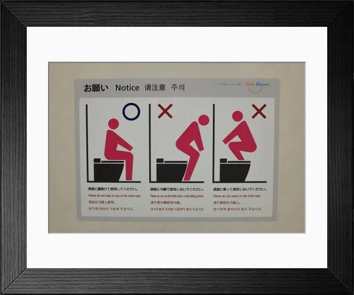 Framed Print : Instructions explaining how to use a Western toilet Framed Print : Instructions explaining how to use a Western toilet