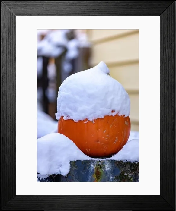 Framed Print : Frost Snow on the Pumpkin Framed Print : Frost Snow on the Pumpkin
