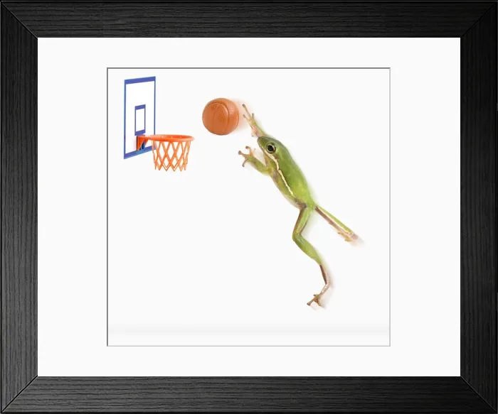 Framed Print : Frog playing basketball Framed Print : Frog playing basketball
