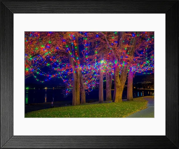 Framed Print : Christmas lights in tree at English Bay, Vancouver, British Columbia, Canada Framed Print : Christmas lights in tree at English Bay, Vancouver, British Columbia, Canada