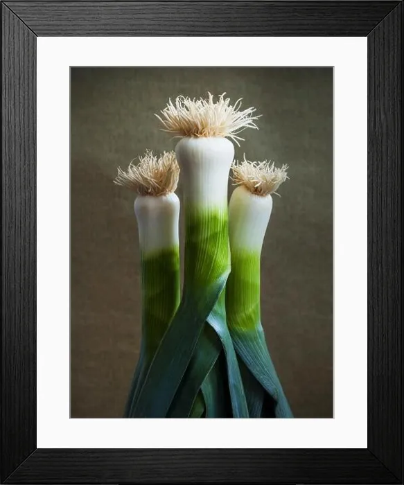 Framed Print : Three leeks Framed Print : Three leeks