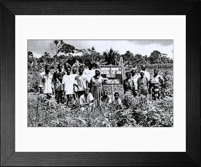 Framed Print : Conservation and sustainable use of medicinal plants in Ghana: conservation report.. Konkonuru villagers at the Community Medicinal Plant Farm Aburi Framed Print : Conservation and sustainable use of medicinal plants in Ghana: conservation report.. Konkonuru villagers at the Community Medicinal Plant Farm Aburi